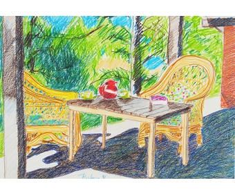 2-Terrasse-mit-Korbstuehlen