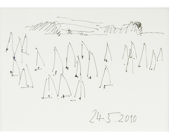 65-Regattafeld-vor-Strander-Feldern