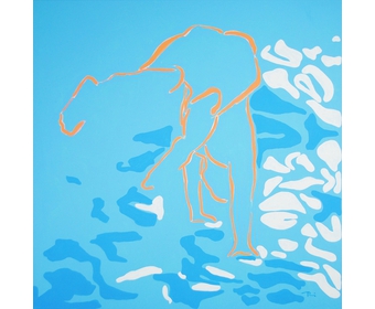 23-Wasserspringer-II